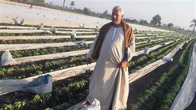 خبير رزاعي يكشف سر ارتفاع سعر البامية والليمون.. وموعد الانخفاض