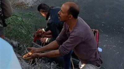 الأهالي ينقذون شابا وينتشلون سيارته من ترعة المريوطية