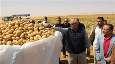 محافظ الوادي الجديد يتفقد المشروعات الزراعية بقرية أبو منقار