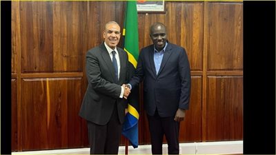 وزير الخارجية يلتقى مع نائب رئيس الوزراء ووزير الطاقة التنزانى