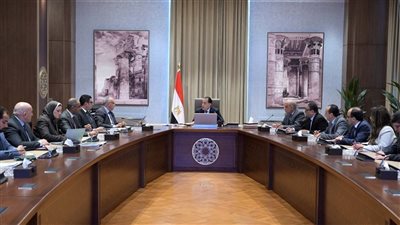 مدبولي: توجيهات من الرئيس بتوفير احتياجات مشروعات الاستصلاح الزراعي الجديدة