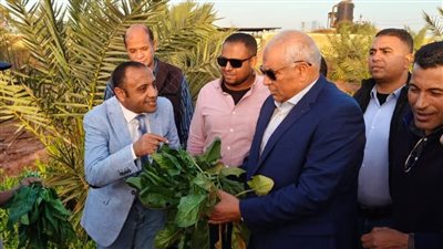 محافظ الوادي الجديد يتفقّد مشروع 