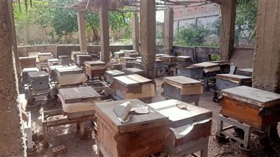 تعليم الفيوم الأول على مستوى الجمهورية في مشروع رأس المال