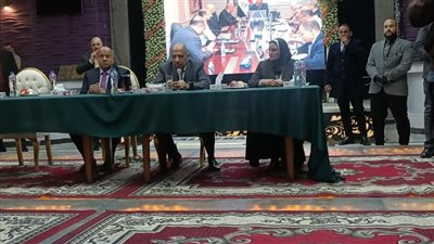 وزير الكهرباء: 7 مليارات جنيه خسائر سرقات التيار الكهربائي 