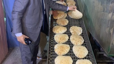  ضبط 8 طن دقيق ورنجة وملح غير مطابقة للمواصفات بالدقهلية