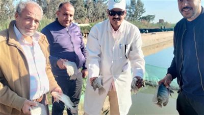 استكمالًا لموسم الحصاد .. جهاز حماية وتنمية البحيرات يواصل أعمال الصيد لهذا العام 