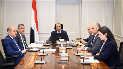 وزير الخارجية والهجرة يؤكد أهمية دعم الجاليات المصرية بالخارج وتعزيز الخدمات القنصلية