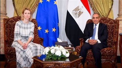 وزير الخارجية يجري مشاورات سياسية مع الممثلة العليا للشئون الخارجية والسياسة الأمنية للاتحاد الأوروبي