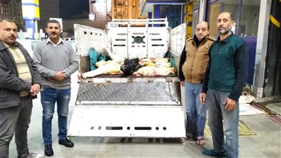ضبط 480 كيلو لحوم فاسدة وغير صالحة للاستهلاك بالفيوم 