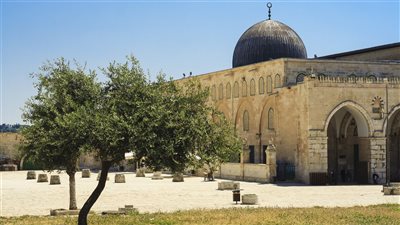 طبقات الأنبياء و الأولياء الصالحين في الأرض المقدسة