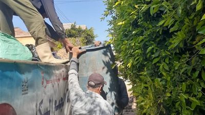 استمرار العمل اليومي في منظومة الجمع السكني للقمامة بالرحمانية