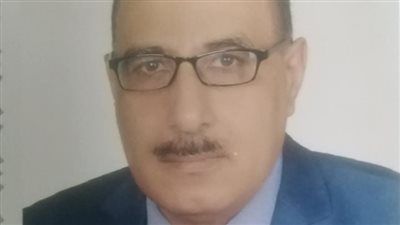 خبير الطاقة : تركيب عدادات  للباعه الجائلين خطوه مهمه للقضاء علي الفقد التجاري