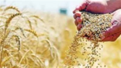 البورصة السلعية طوق النجاة من تغول الأسعار