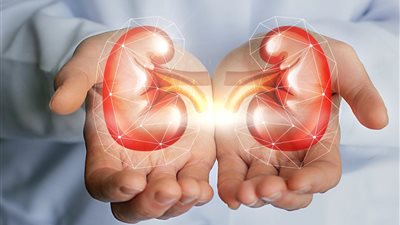 طبيب روسي يقدم نصائح للحفاظ على صحة الكُلى.. تعرف عليها