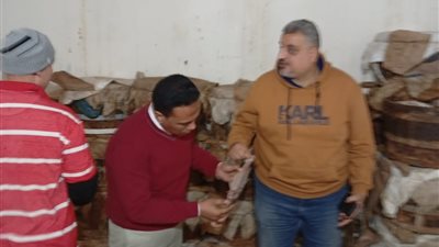 الدقهلية: ضبط 7 طن أسماك ورنجة وفسيخ مخالفة للمواصفات