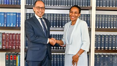 تعزيز التعاون الدستوري بين مصر وجنوب أفريقيا