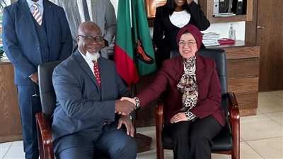 السفيرة المصرية تلتقي بوزير الصحة الزامبي في زامبيا