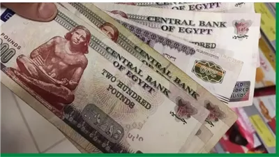 لينكـ الاستعلام عن منحة العمالة غير المنتظمة 2025 عبر موقع وزارة القوى العاملة بالرقم القومي