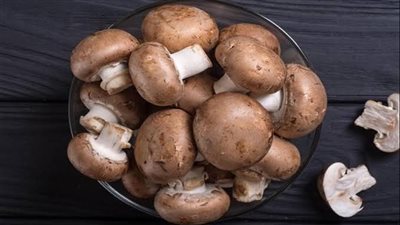 المشروم.. كنز غذائي بمذاق لذيذ وفوائد متعددة