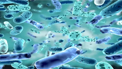 علماء يتوصلون إلى حل ثوري لأخطر أزمة صحية عالمية (تفاصيل)