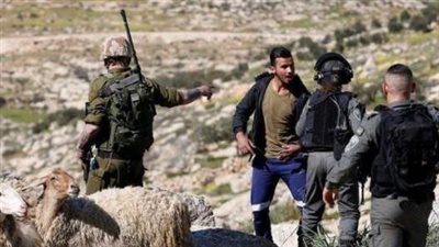 الخارجية الفلسطينية تطالب بتحرك دولي فاعل لوقف جرائم المستعمرين واعتداءاتهم