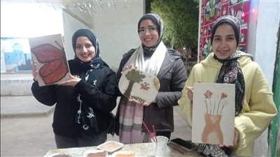 لقاءات تثقيفية متنوعة لقصور الثقافة بالداخلة والفرافرة وبلاط