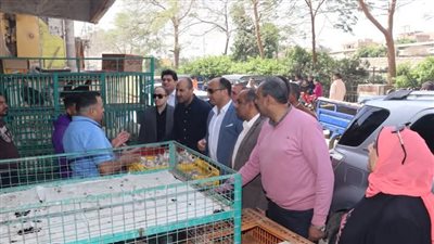 تحرير 20 محضرا لمخالفات بالمخابز في بنى سويف 