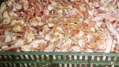  ضبط طن دجاج مخالفة للمواصفات بالدقهلية