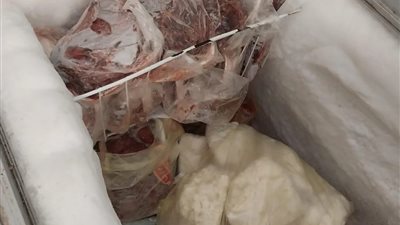 صحة الدقهلية تكثف استعدادتها خلال احتفالات عيد الفطر المبارك