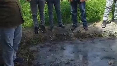 إزالة تعدي على أرض زراعية بكفور نجم وإعادة زراعتها مرة أخرى 