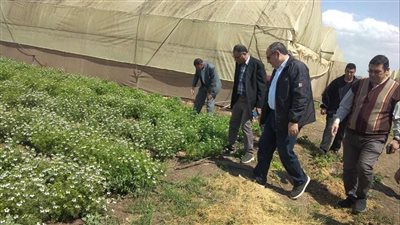 رئيس  البحوث الزراعية يتفقد محطة سخا بكفر الشيخ