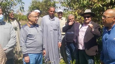 مركز البحوث الزراعية يقدم الدعم الفني للمزارعين في كافة المحافظات