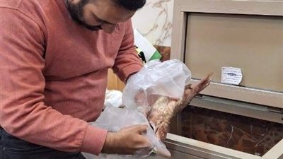 ضبط 320 كجم أسماك مملحة مجهولة المصدر بكفر الشيخ