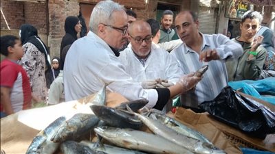 ضبط 120 كيلو أسماك ماكريل مجمدة غير صالحة للاستهلاك بالفيوم 