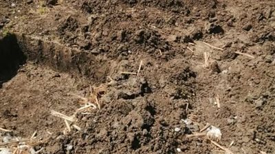 بالصور.. حماية الأراضي تنتشر في المحافظات لمنع التعديات وتنفذ إزالات فورية  