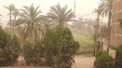 صور| عاصفة ترابية تضرب أنحاء محافظة الأقصر 