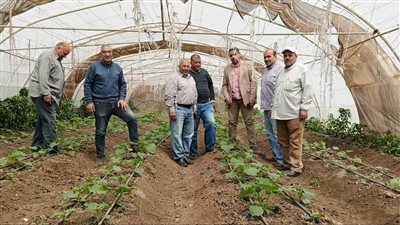جولة ميدانية لمدير زراعة الغربية بإدارة سمنود 