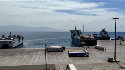 تداول  3 الاف طن و265 شاحنة بضائع بموانئ البحر الأحمر