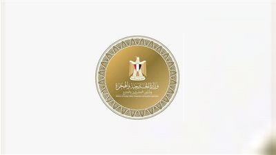 مصر تعيد طفلة إلى أرض الوطن.. ومساعد وزير الخارجية يشيد بالتنسيق مع الإمارات