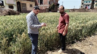 الإدارة المركزية للإرشاد الزراعي تنفذ مجموعة من الأنشطة الزراعية خلال شهر مارس 2025