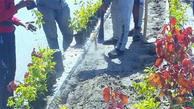 محافظ الغربية يتابع أعمال النظافة والتجميل بميدان المحطة بطنطا