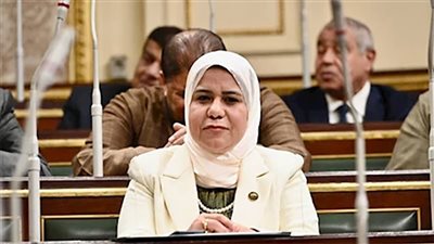 رئيس مجلس النواب ينعى النائبة رقية الهلالي