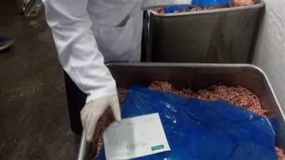 ضبط أسماك مجمدة ولحوم ودواجن وكبد مخالفة في حملات رقابية بالشرقية 