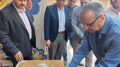 بدء موسم توريد القمح بمحافظة الفيوم اليوم السبت.. صور 