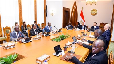 وزير الخارجية يستقبل أعضاء اللجنة التنفيذية للرابطة الإفريقية للإدارة العامة في مصر