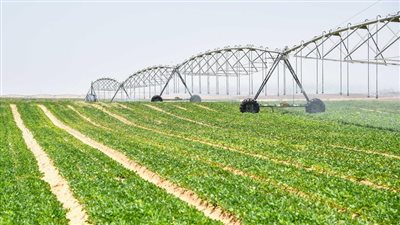 تفاصيل خطة توصيل التيار الكهربائي لمشروع 