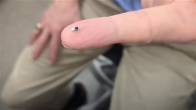 ابتكار ثوري.. جهاز تنظيم ضربات قلب صغير يُزرع بالحقن ويذوب تلقائيًا