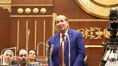 النائب خالد قنديل: دراسة قانون التجارة تحتاج مقارنة التجارب الدولية 