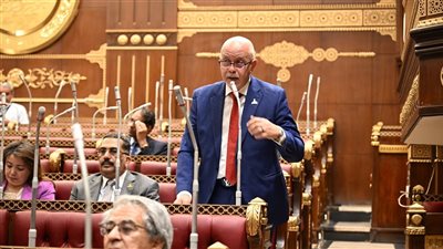 النائب حازم الجندي يطالب بإنشاء مناطق تكنولوجية حرة