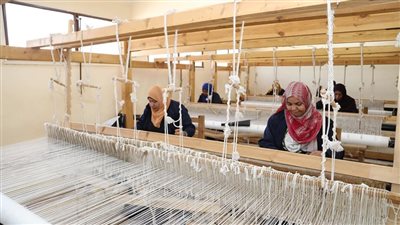 الإنمائي للأمم المتحدة: 3 مشروعات رئيسية يُمولها البرنامج فى الصعيد 